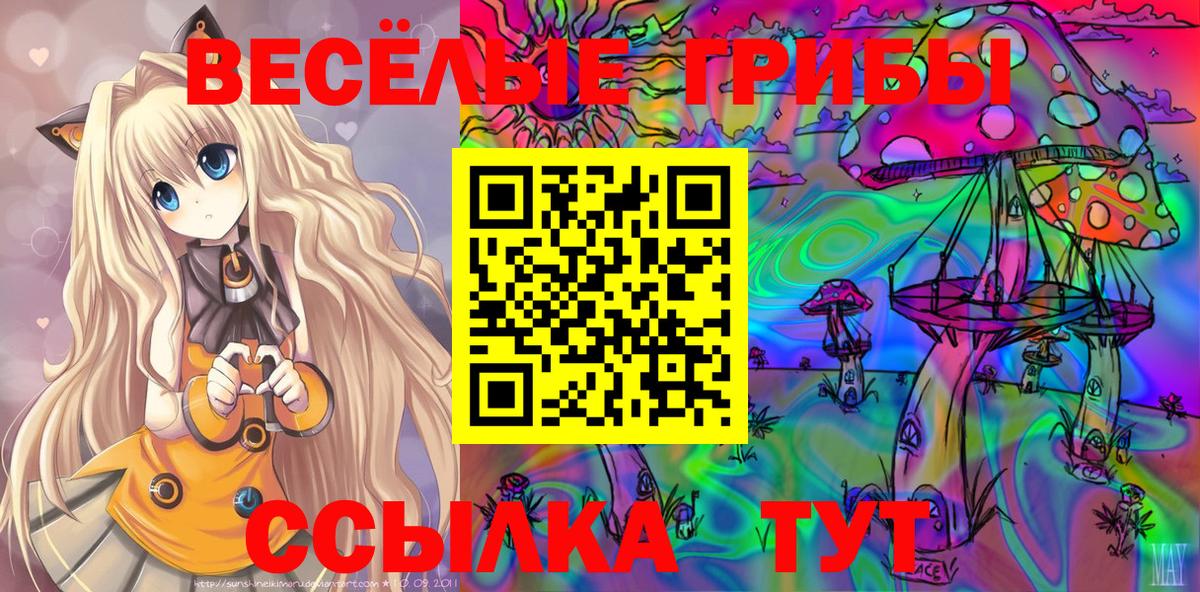Галлюциногенные грибы мухоморы  Вход с VPN  Кизилюрт 